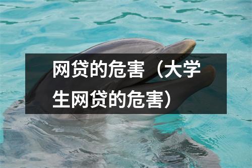 网贷的危害（大学生网贷的危害）