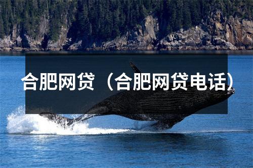 合肥网贷(合肥网贷电话)
