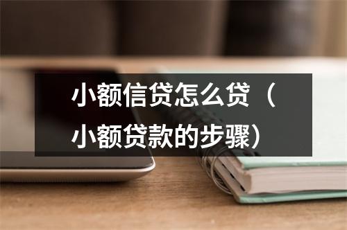 小额信贷怎么贷（小额贷款的步骤）
