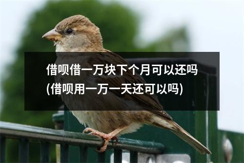 借呗借一万块下个月可以还吗(借呗用一万一天还可以吗)