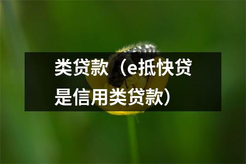 类贷款（e抵快贷是信用类贷款）
