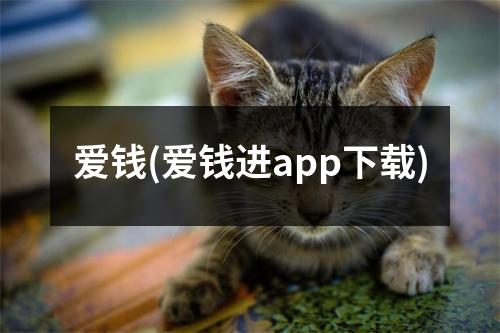 爱钱(爱钱进app下载)