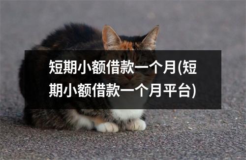 短期小额借款一个月(短期小额借款一个月平台)