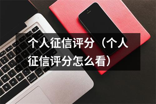 个人征信评分（个人征信评分怎么看）