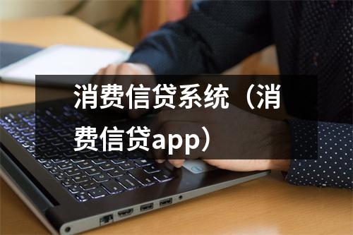 消费信贷系统(消费信贷app)