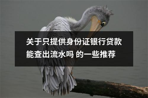 关于只提供身份证银行贷款能查出流水吗 的一些推荐