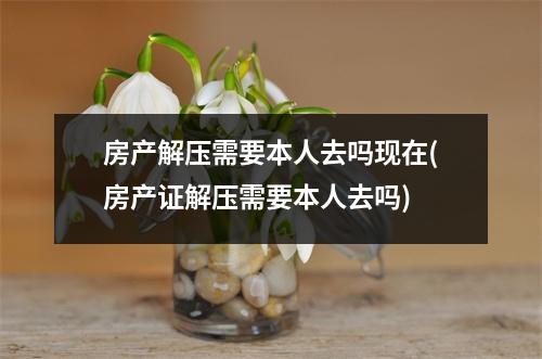 房产解压需要本人去吗现在(房产证解压需要本人去吗)
