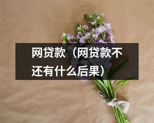 网贷款（网贷款不还有什么后果）