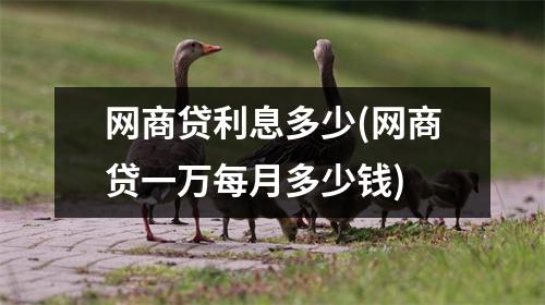 网商贷利息多少(网商贷一万每月多少钱)