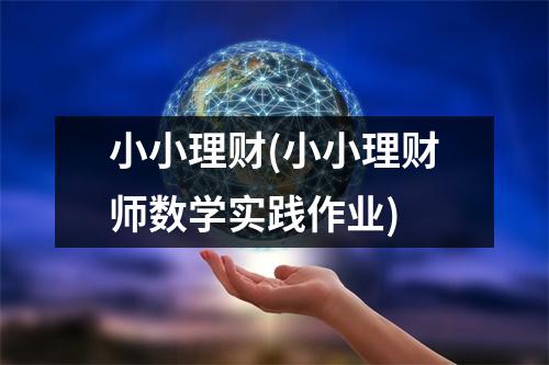 小小理财(小小理财师数学实践作业)