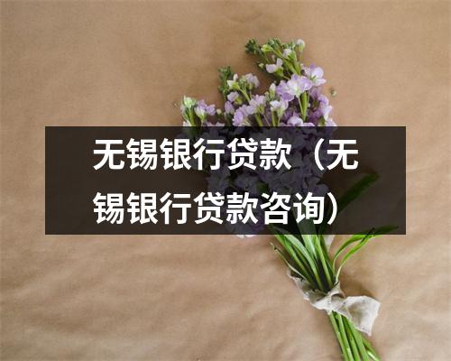 无锡银行贷款（无锡银行贷款咨询）