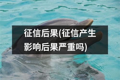 征信后果(征信产生影响后果严重吗)