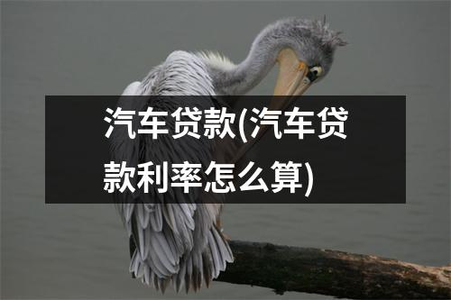 汽车贷款(汽车贷款利率怎么算)