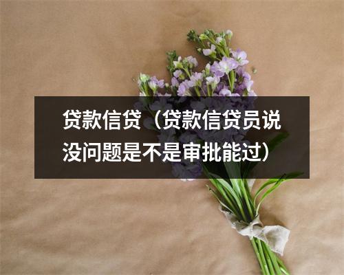 贷款信贷（贷款信贷员说没问题是不是审批能过）