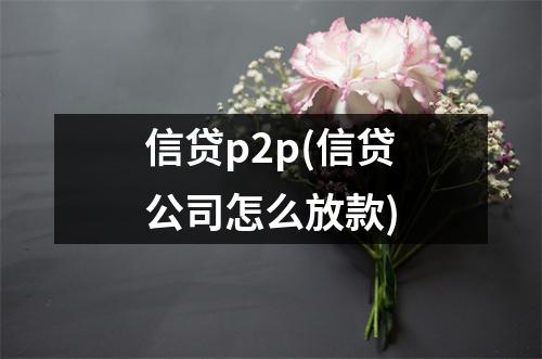信贷p2p(信贷公司怎么放款)