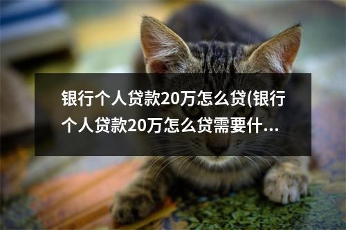 银行个人贷款20万怎么贷(银行个人贷款20万怎么贷需要什么条件)