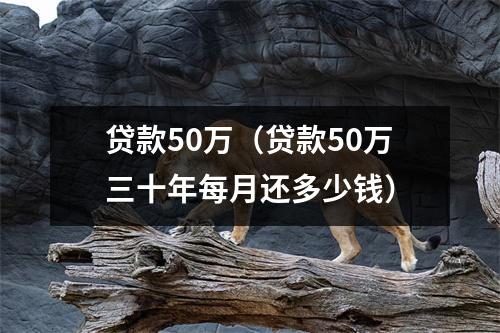 贷款50万(贷款50万三十年每月还多少钱)