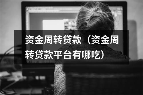 资金周转贷款(资金周转贷款平台有哪吃)