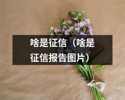 啥是征信（啥是征信报告图片）