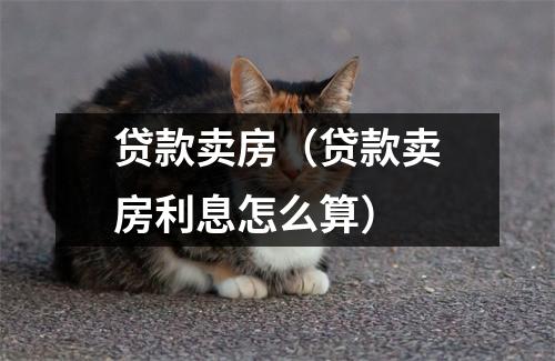 贷款卖房（贷款卖房利息怎么算）