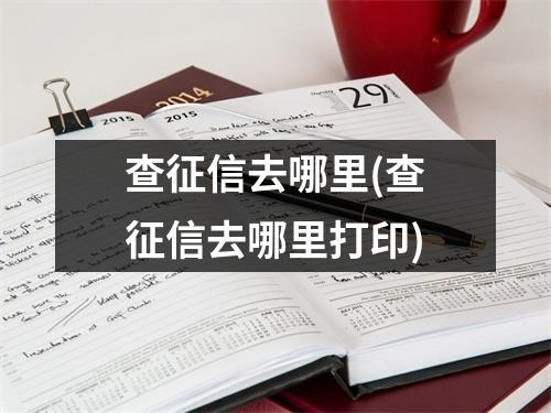 查征信去哪里(查征信去哪里打印)