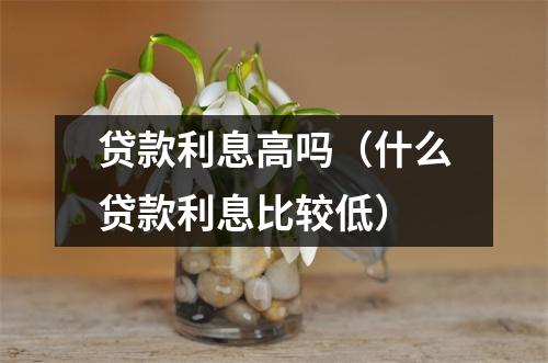 贷款利息高吗（什么贷款利息比较低）