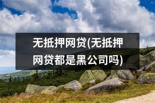 无抵押网贷(无抵押网贷都是黑公司吗)