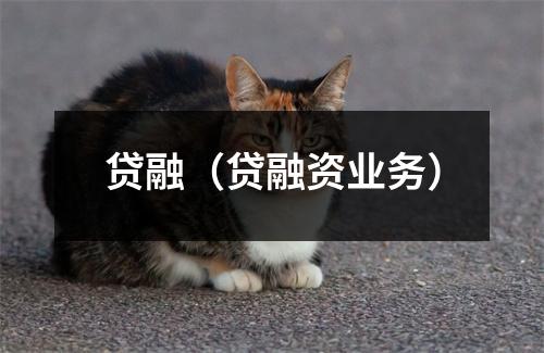 贷融(贷融资业务)