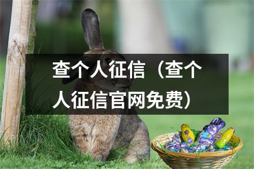 查个人征信（查个人征信官网免费）