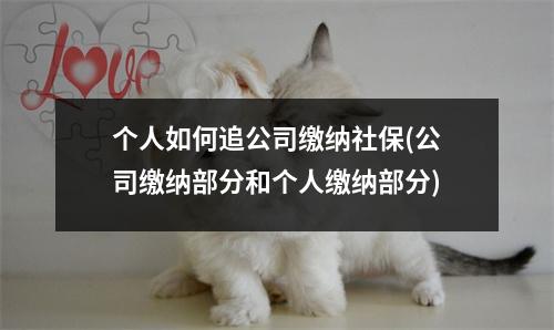 个人如何追公司缴纳社保(公司缴纳部分和个人缴纳部分)