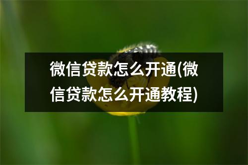 微信贷款怎么开通(微信贷款怎么开通教程)