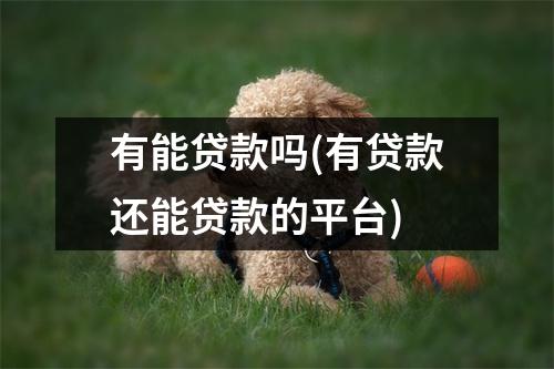 有能贷款吗(有贷款还能贷款的平台)