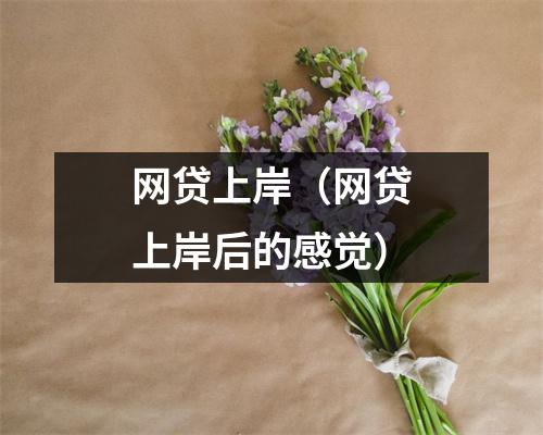 网贷上岸(网贷上岸后的感觉)