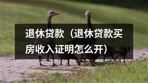 退休贷款（退休贷款买房收入证明怎么开）