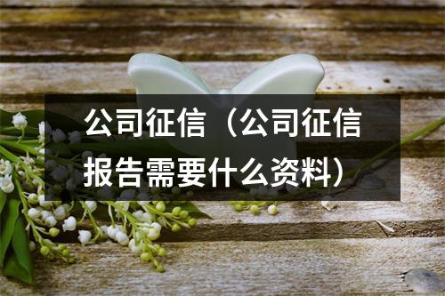公司征信(公司征信报告需要什么资料)