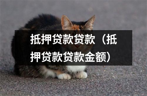 抵押贷款贷款（抵押贷款贷款金额）