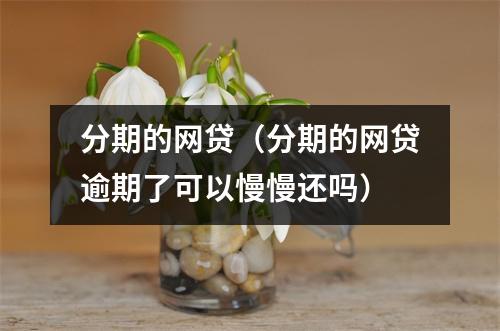 分期的网贷（分期的网贷逾期了可以慢慢还吗）