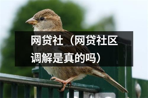 网贷社（网贷社区调解是真的吗）