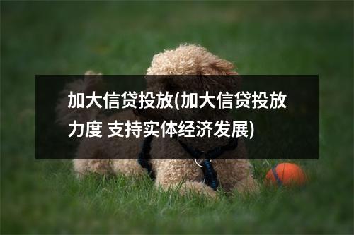 加大信贷投放(加大信贷投放力度 支持实体经济发展)