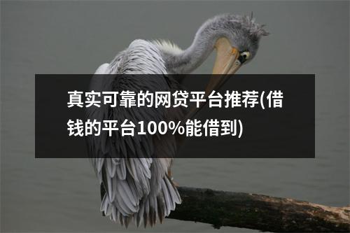 真实可靠的网贷平台推荐(借钱的平台100%能借到)