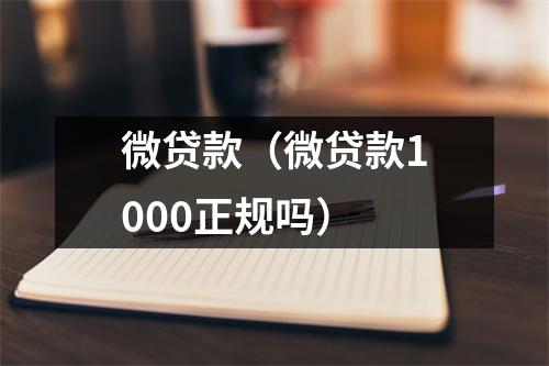 微贷款（微贷款1000正规吗）