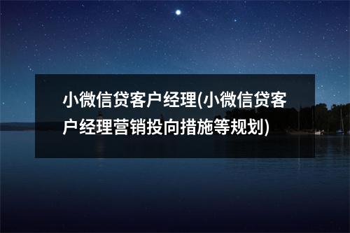 小微信贷客户经理(小微信贷客户经理营销投向措施等规划)