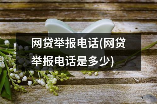 网贷举报电话(网贷举报电话是多少)