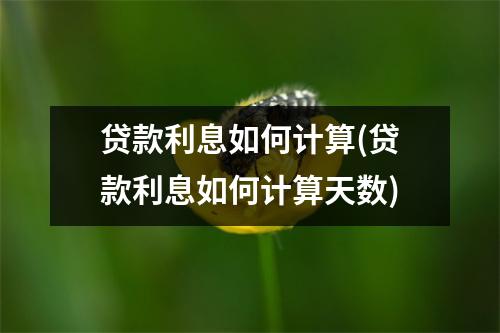 贷款利息如何计算(贷款利息如何计算天数)