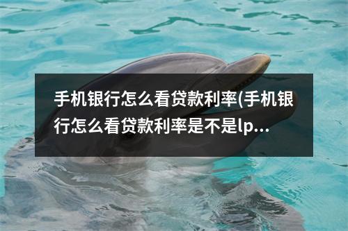 手机银行怎么看贷款利率(手机银行怎么看贷款利率是不是lpr)