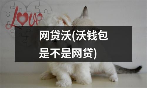 网贷沃(沃钱包是不是网贷)