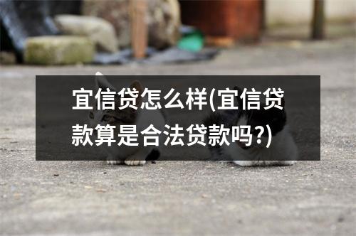 宜信贷怎么样(宜信贷款算是合法贷款吗?)