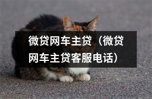 微贷网车主贷（微贷网车主贷客服电话）
