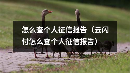 怎么查个人征信报告(云闪付怎么查个人征信报告)