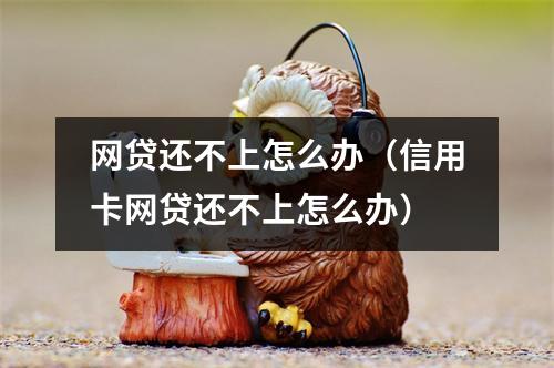 网贷还不上怎么办（信用卡网贷还不上怎么办）